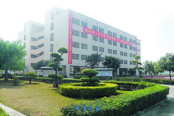 学校