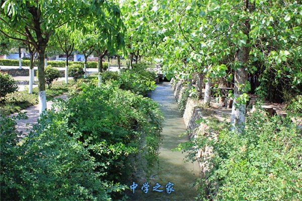 校园一景