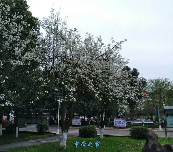 绵阳市服装艺术职业技术学校