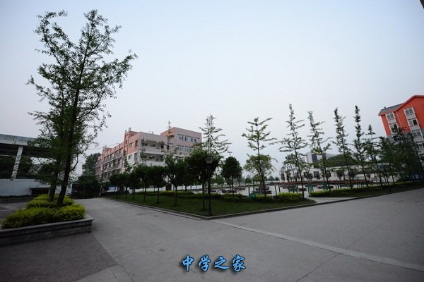 校园一景