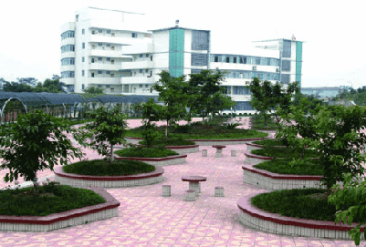 四川幼师学校2019年招生简章 四川幼师学校2019年招生简章