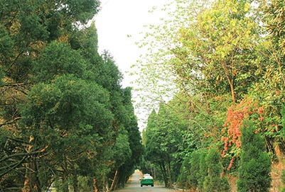 四川希望卫校就读保障如何 四川希望卫校就读保障如何