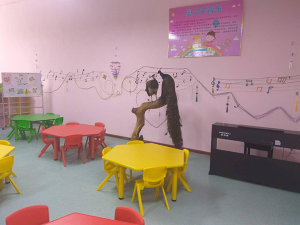 成都市中山职业技术学校学前教育（幼儿教育）介绍