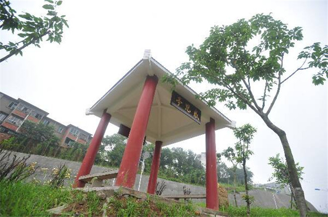 四川自贡市高级技工学校图片、照片 四川自贡市高级技工学校图片、照片