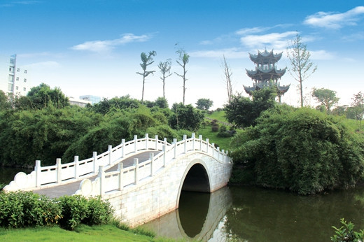 泸州医学院卫生学校图片、照片 泸州医学院卫生学校图片、照片