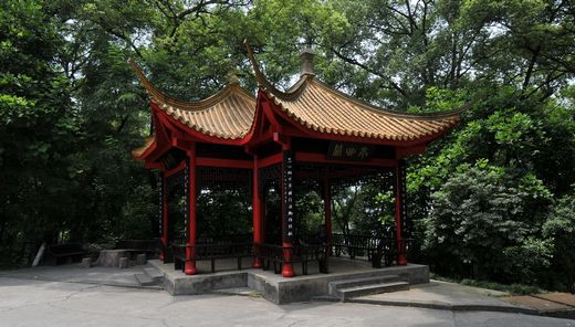 泸州医学院卫生学校图片、照片 泸州医学院卫生学校图片、照片