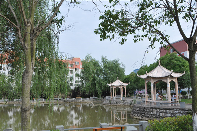 四川汽车职业技术学院图片、照片 四川汽车职业技术学院图片、照片