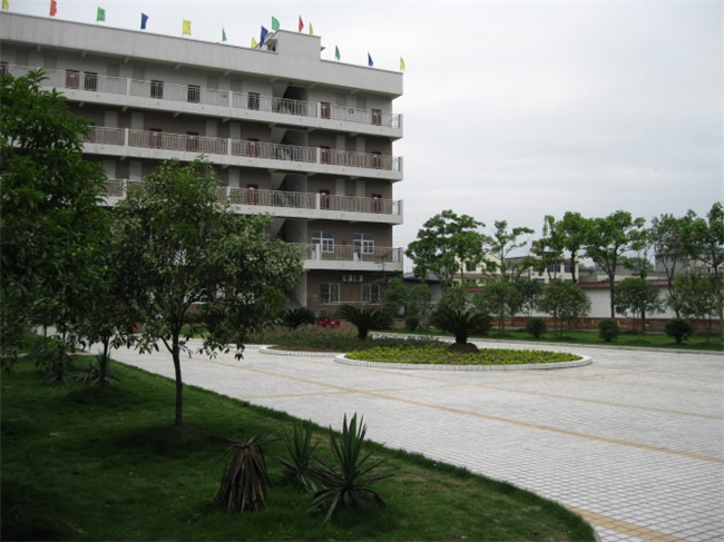 乐山市欣欣艺术职业学校图片、照片 乐山市欣欣艺术职业学校图片、照片