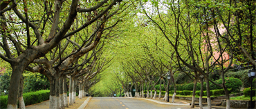 西南科技大学2019年成人高等教育招生简章 西南科技大学2019年成人高等教育招生简章