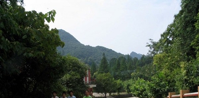校园环境