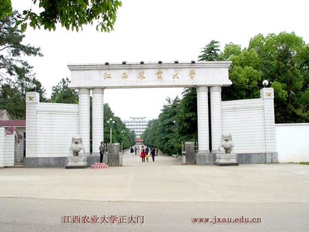 江西农业大学排名2020排行第235名