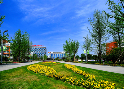 学校