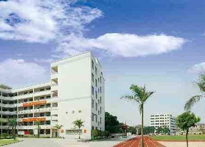 学校