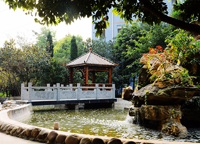学校风景