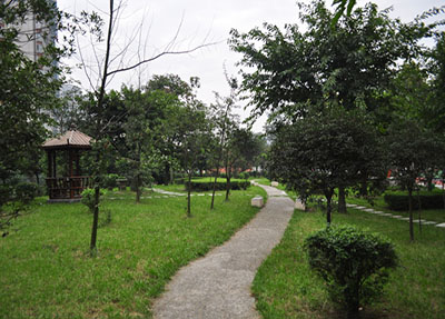 学校风景