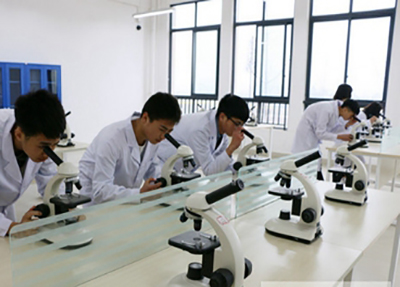 学习中