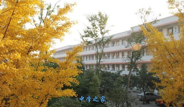 校园秋景
