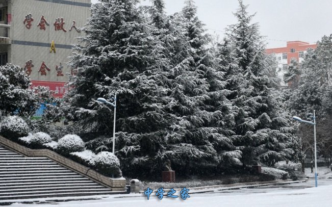 雪景