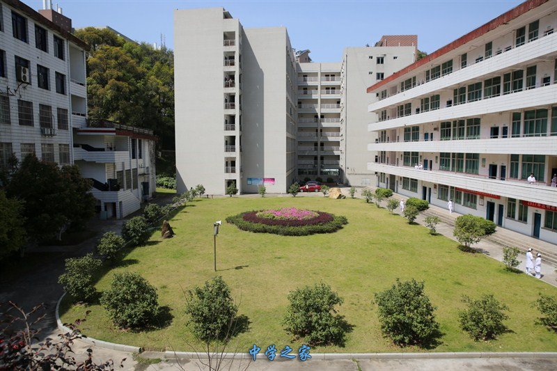 校园一角