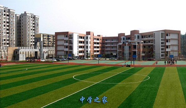学校
