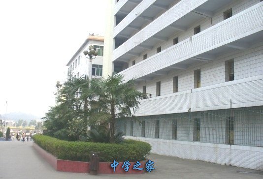 学校