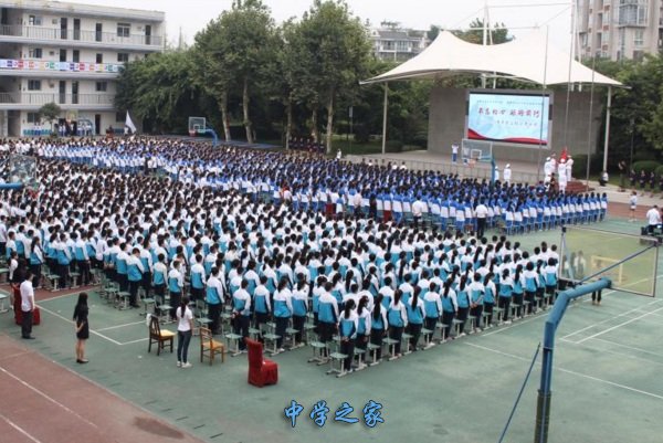 活动