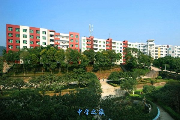 校园一景