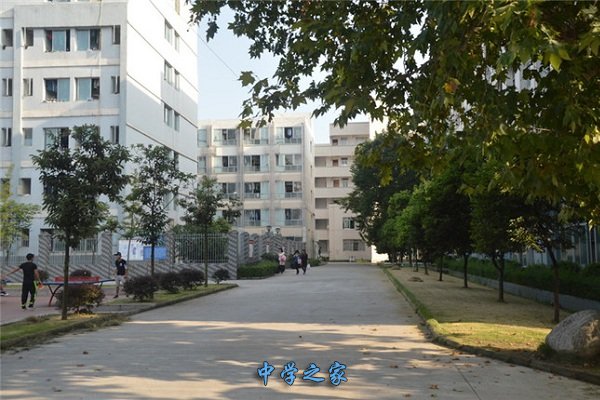 校园一景