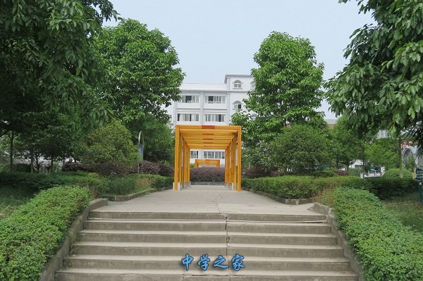 校园一景