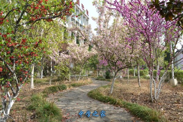学校一景