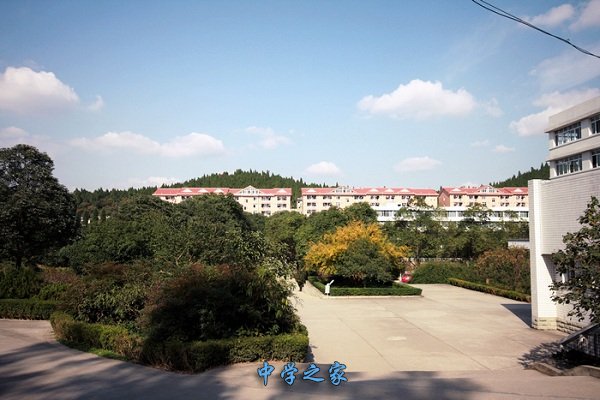 学校环境