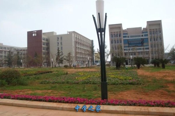 学校环境